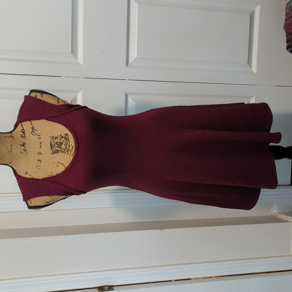 Small burgundy dress Silence + Noise